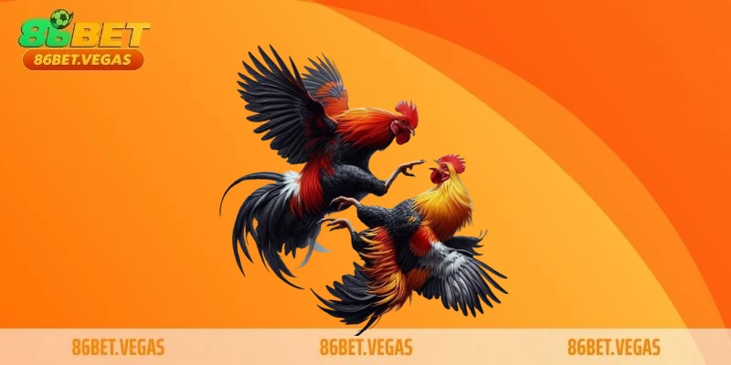 Trải nghiệm mọi lúc, mọi nơi