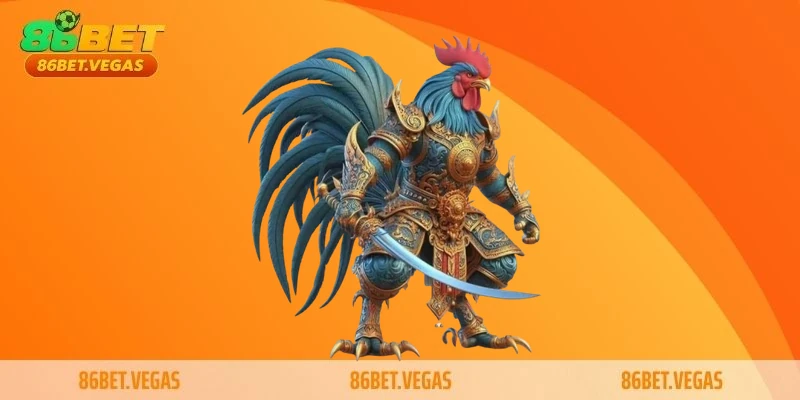 Cách chơi đá gà chuẩn xác từ A–Z cho tân thủ và cao thủ